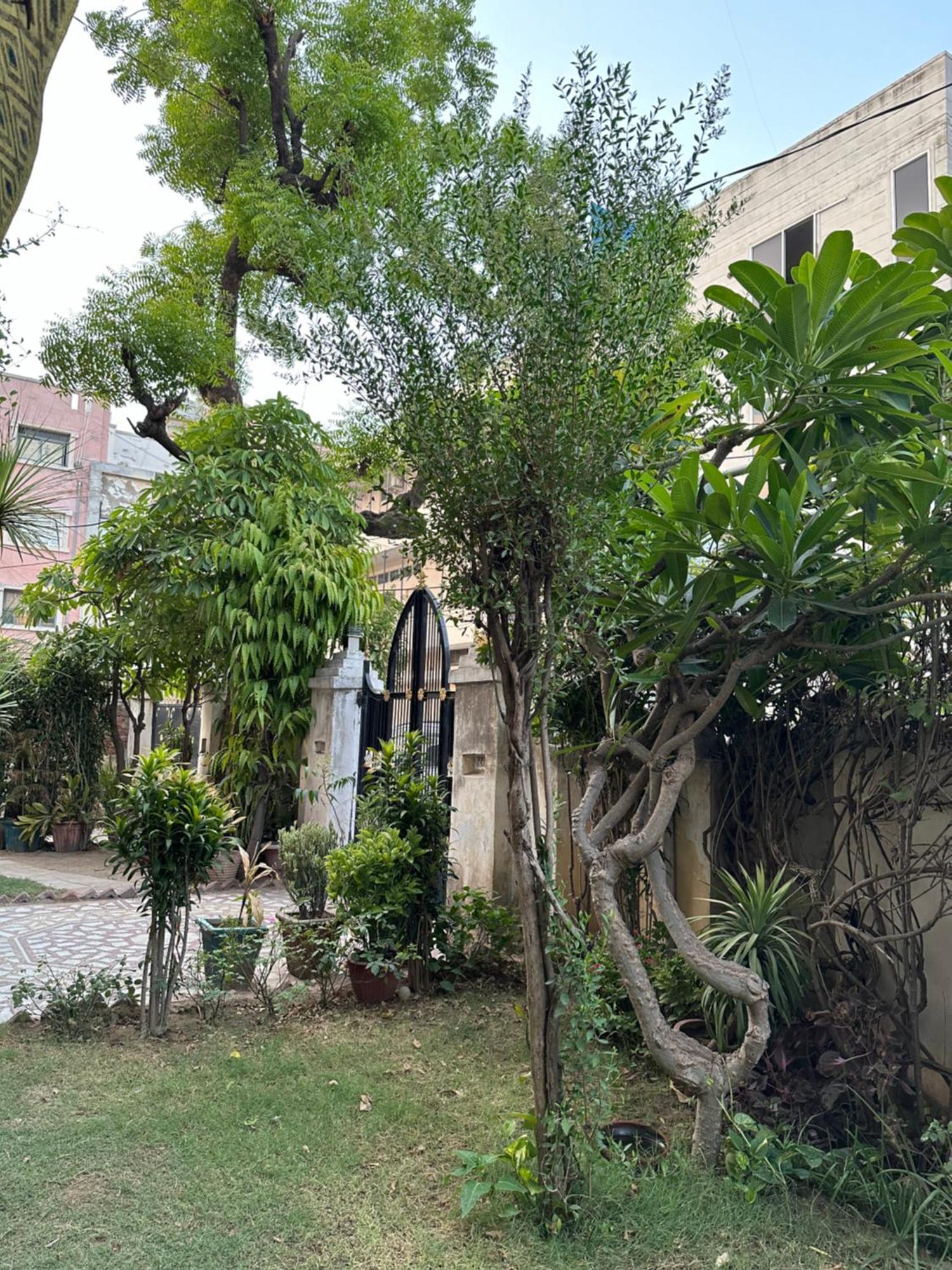 Jwala Niketan Jaipur Hotell Exteriör bild